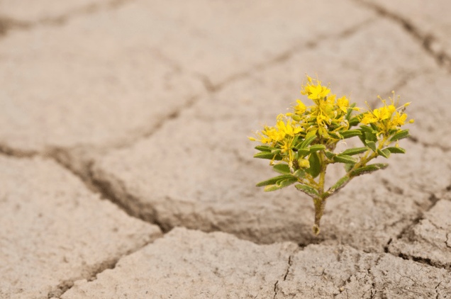 Screen Shot 2014-09-16 at 11.24.07 AM