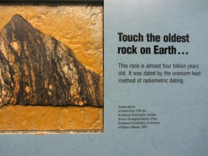 Exhibit at the Denver Museum of Nature & Science.