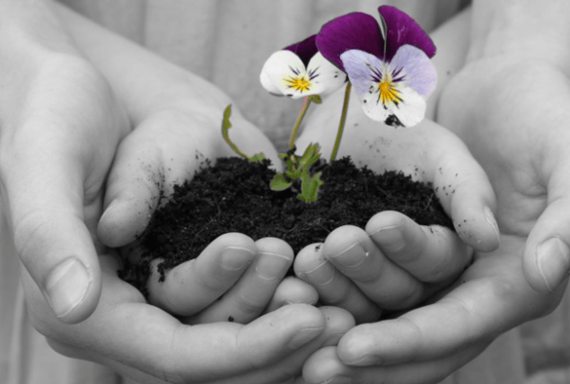 Screen Shot 2013-11-08 at 5.31.15 PM