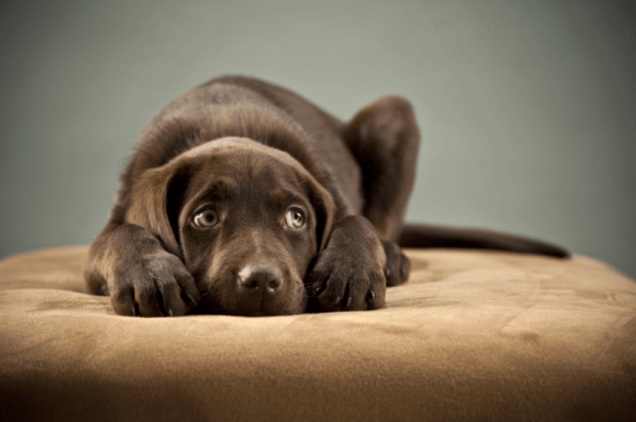 Screen Shot 2014-08-29 at 11.32.19 AM