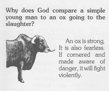 C ox slaughter