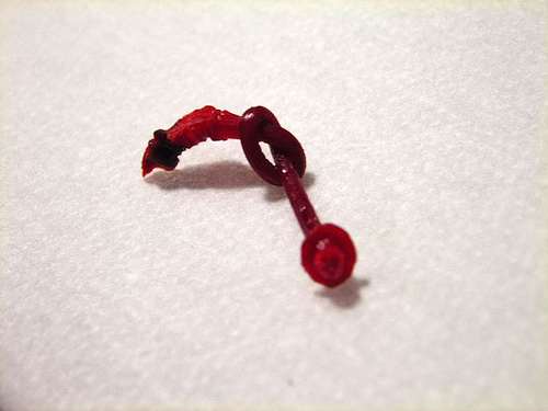 cherry stem