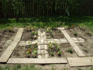 The beginnings of our garden one year when we tried “square foot gardening”